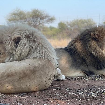 Simba Safaris African Pride Exotic Lodge Lephalale Buitenkant foto