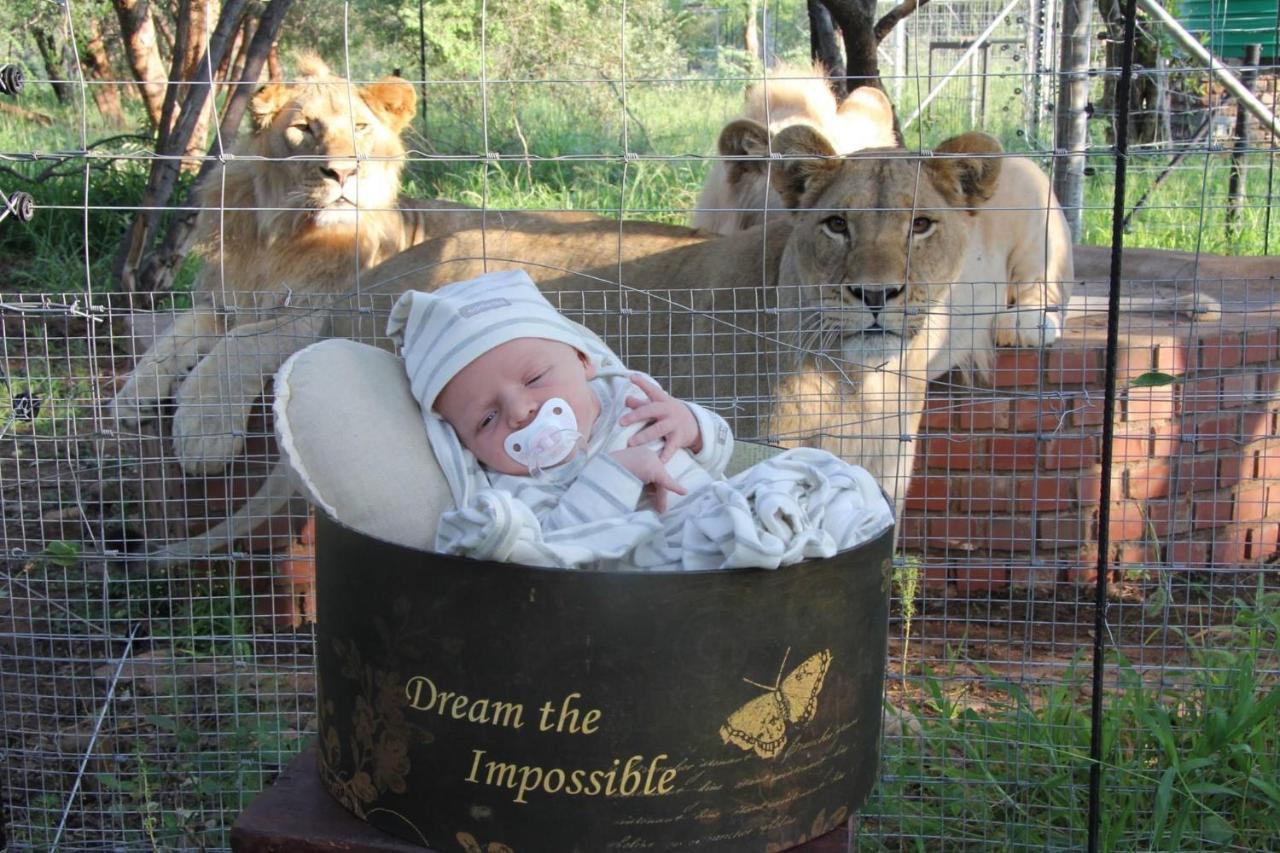 Simba Safaris African Pride Exotic Lodge Lephalale Buitenkant foto