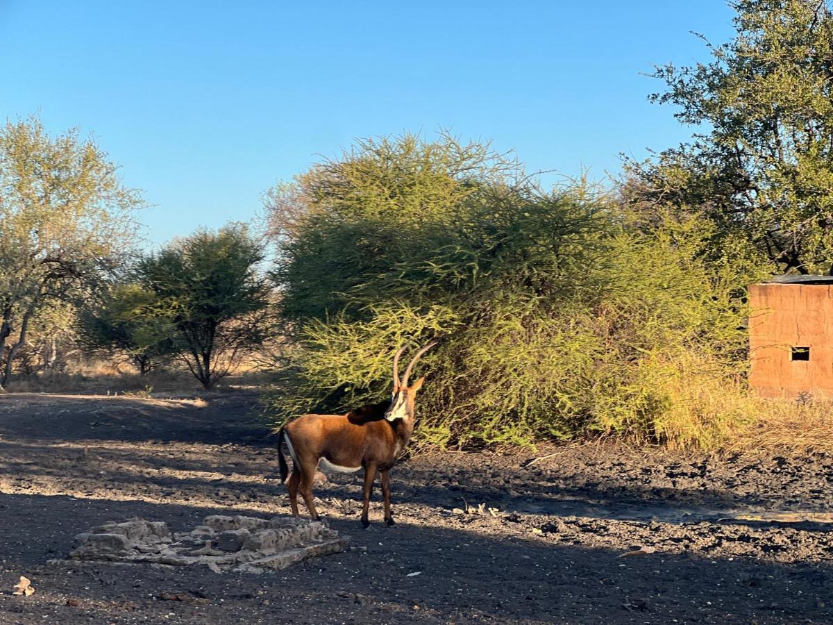 Simba Safaris African Pride Exotic Lodge Lephalale Buitenkant foto