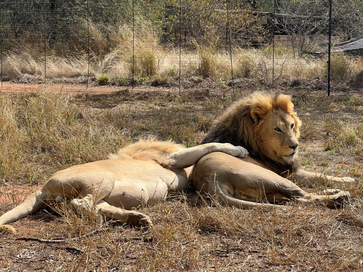 Simba Safaris African Pride Exotic Lodge Lephalale Buitenkant foto
