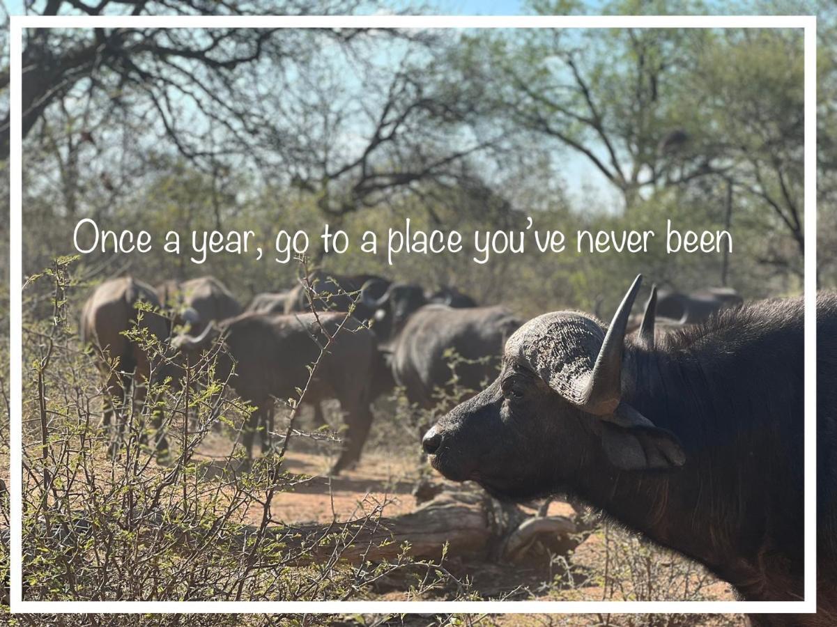 Simba Safaris African Pride Exotic Lodge Lephalale Buitenkant foto