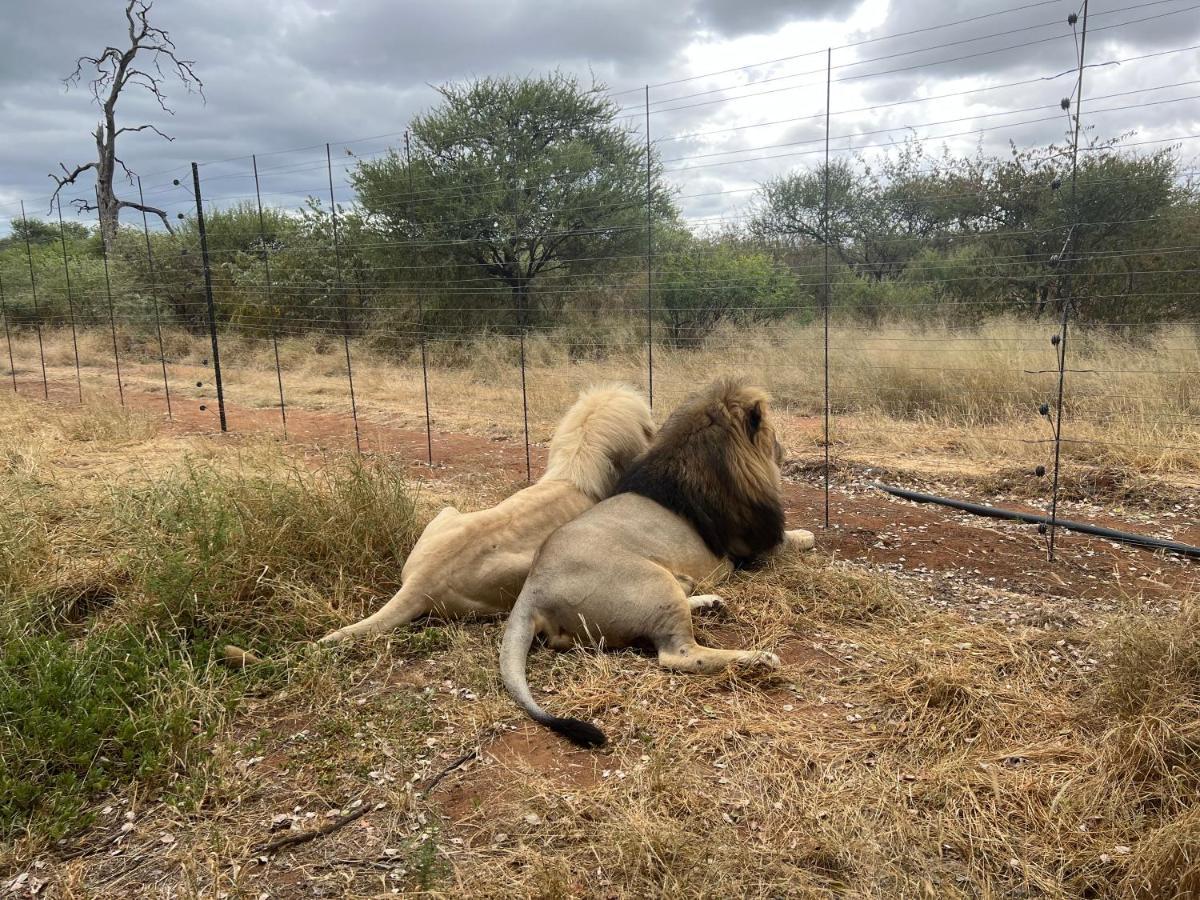 Simba Safaris African Pride Exotic Lodge Lephalale Buitenkant foto