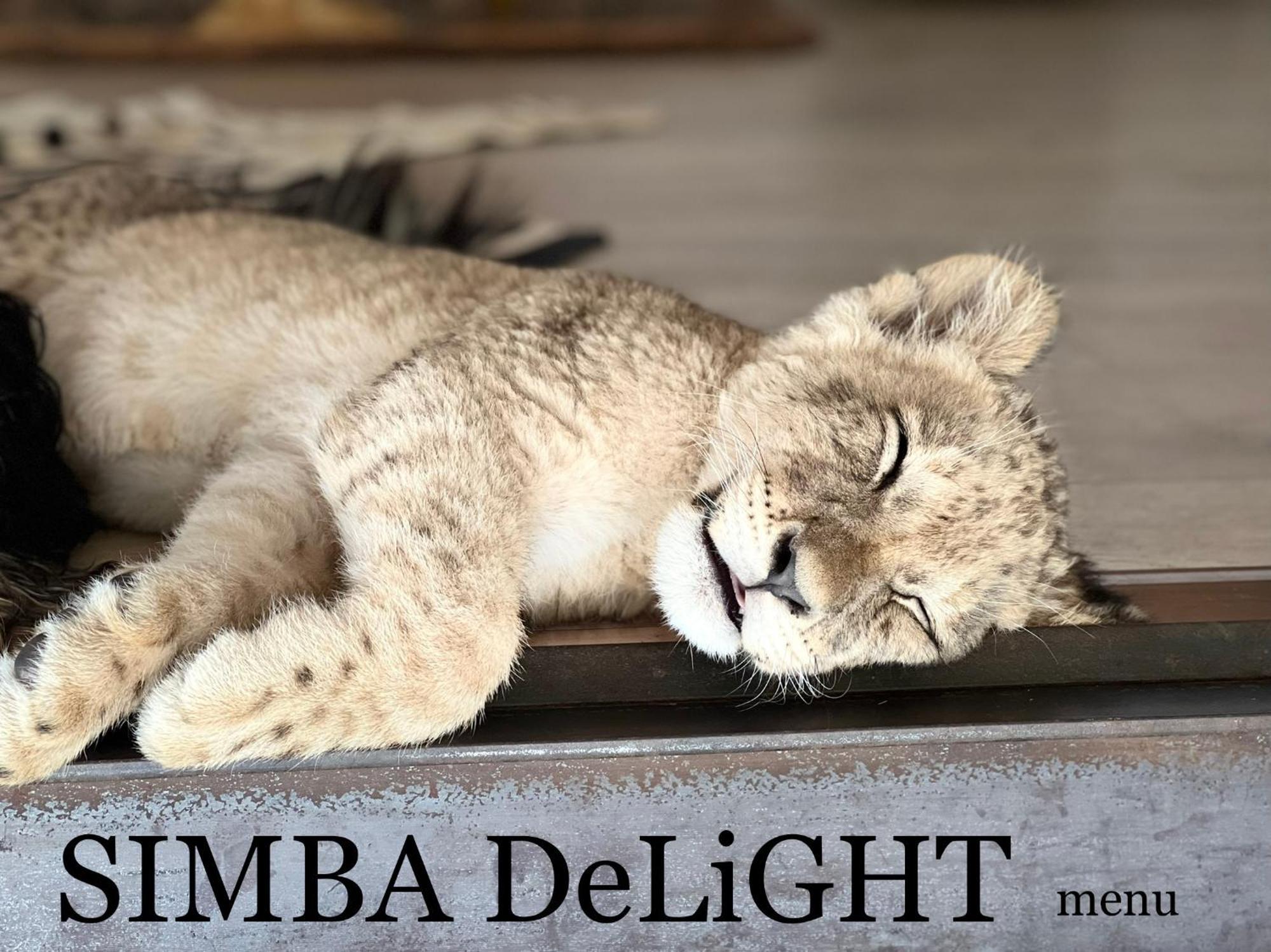 Simba Safaris African Pride Exotic Lodge Lephalale Buitenkant foto