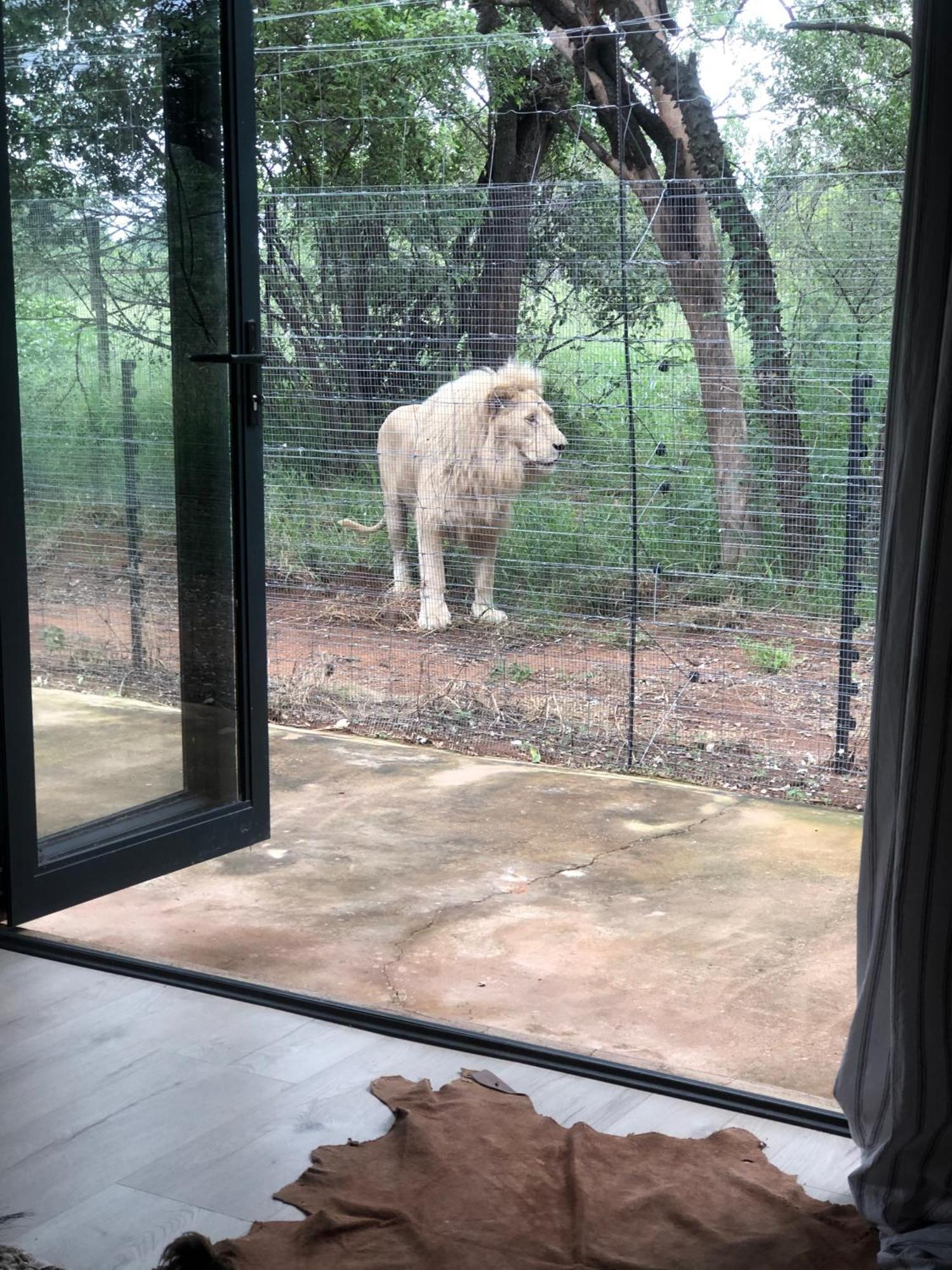 Simba Safaris African Pride Exotic Lodge Lephalale Buitenkant foto