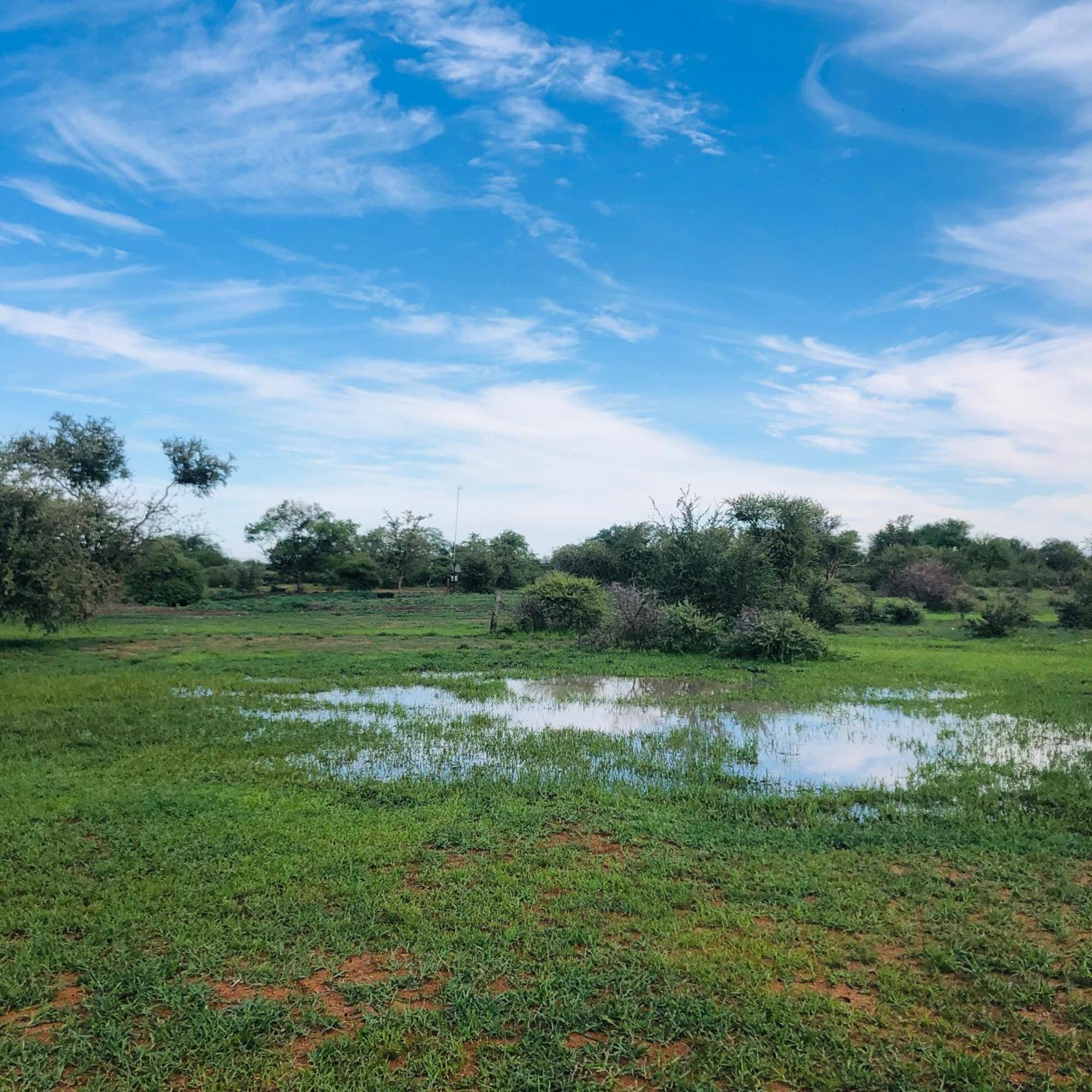 Simba Safaris African Pride Exotic Lodge Lephalale Buitenkant foto