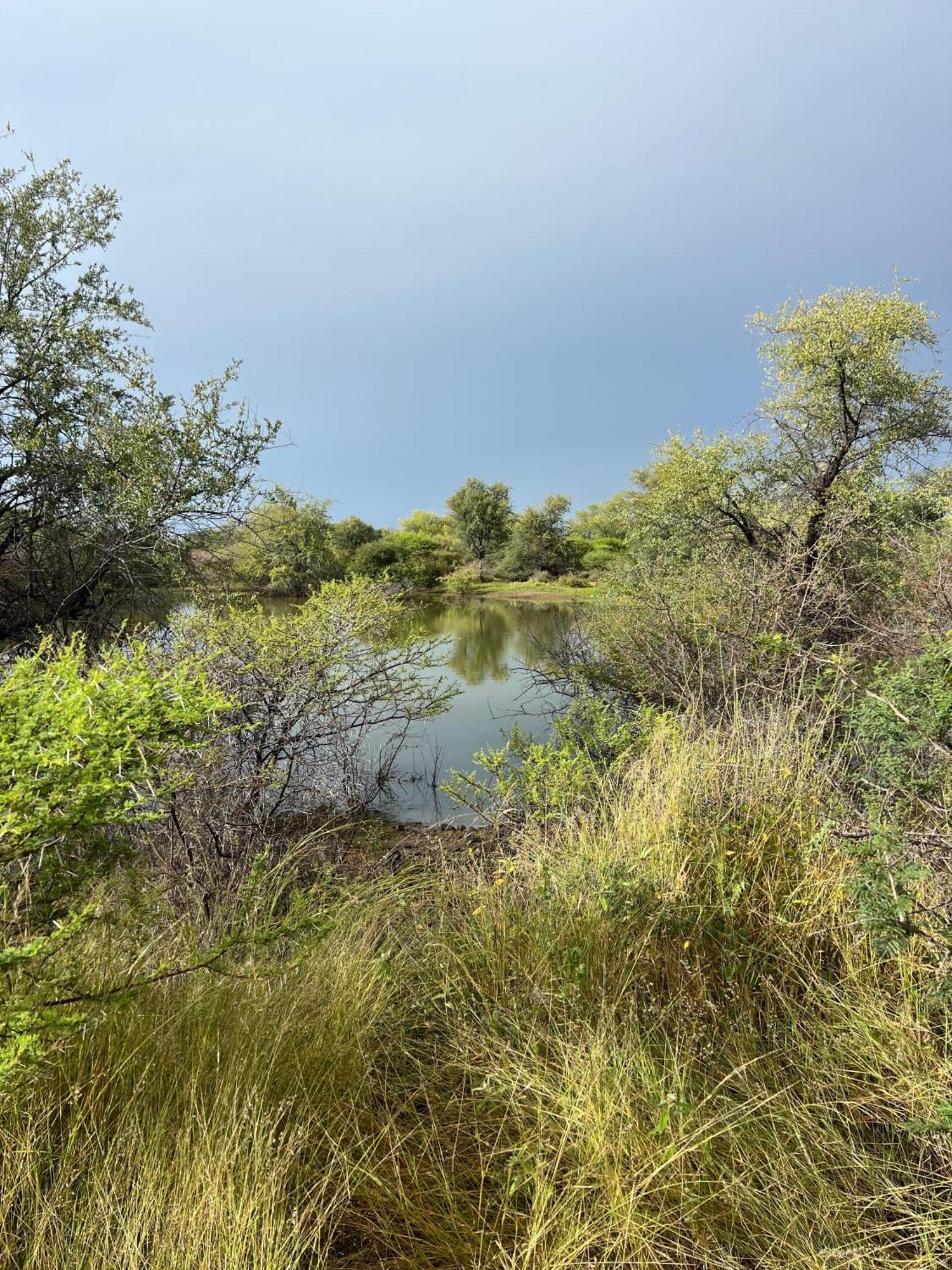 Simba Safaris African Pride Exotic Lodge Lephalale Buitenkant foto